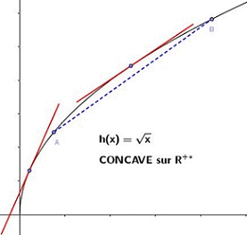 Autour de la convexit d'une fonction : image 4