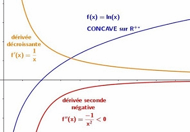 Autour de la convexit d'une fonction : image 9