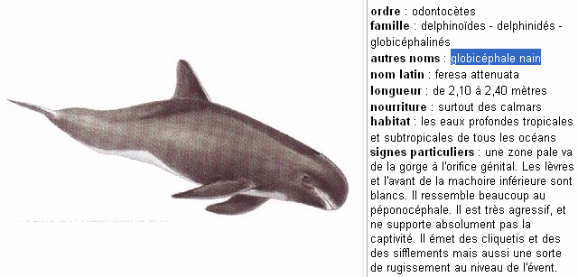 Challenge n�165 : colis postaux:*::*::*: