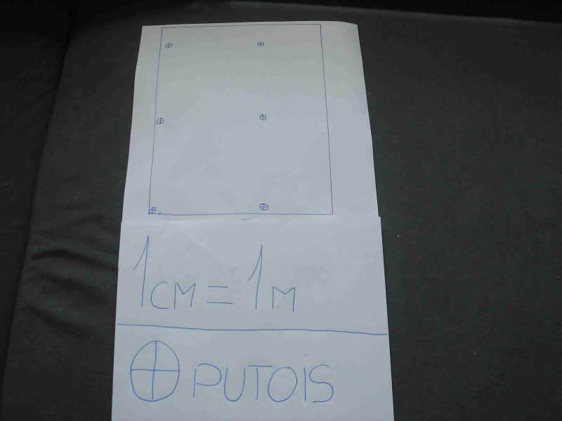 DEFI N�164:Les putois