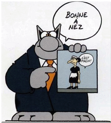 Enigme : Elles sont en proie au chaos