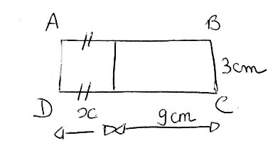 Fonction - dans un rectangle