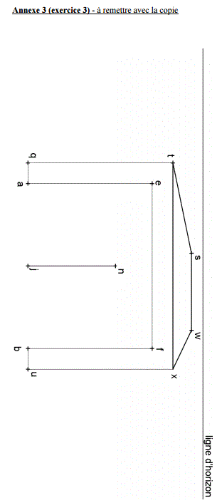 Sujet maths bac 2016 STD2A Polynsie : image 11