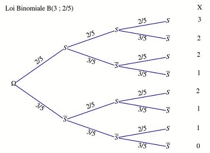 Schma de Bernoulli et loi binomiale : image 2