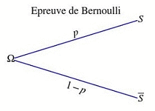 Schma de Bernoulli et loi binomiale : image 3