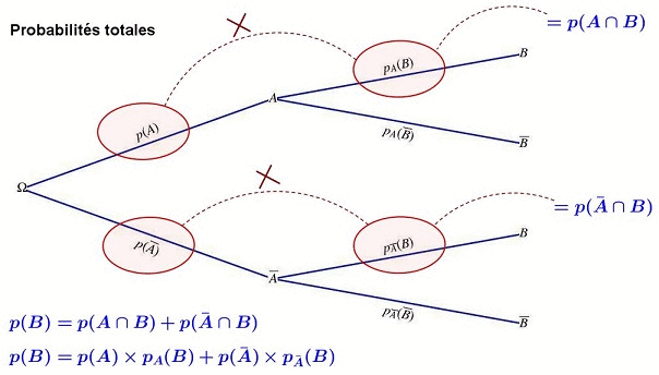 Probabilits conditionnelles et indpendance : image 4