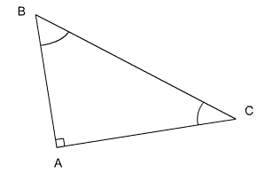 Triangles rectangles : cosinus d'un angle aigu
Triangles rectangles : cosinus d'un angle aigu : image 2