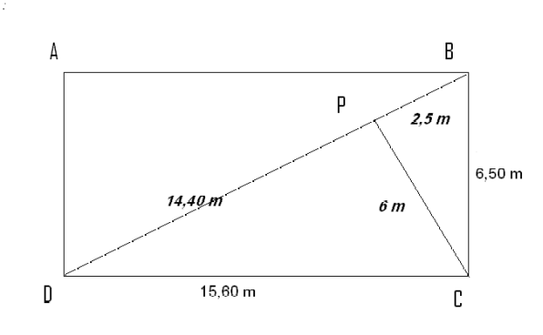 Les bateaux de mes jumeaux.