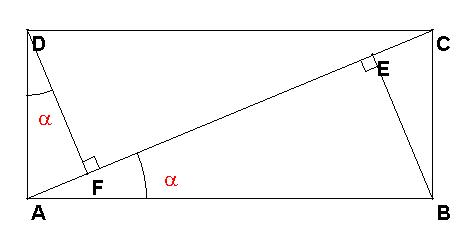 Les bateaux de mes jumeaux.