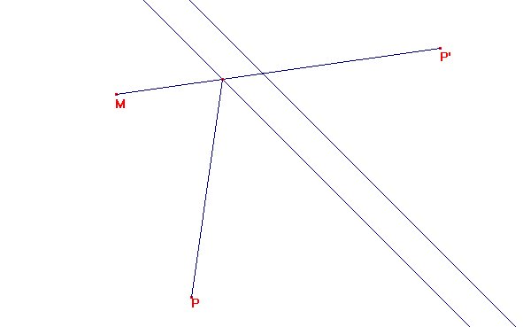 La rivi�re et la plante rare.
