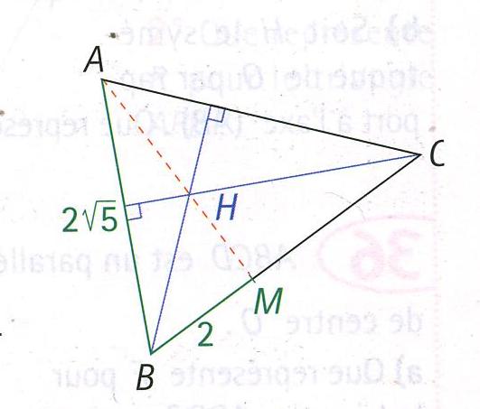 Droites remarquables dans un triangle...Problme pour dmontrer