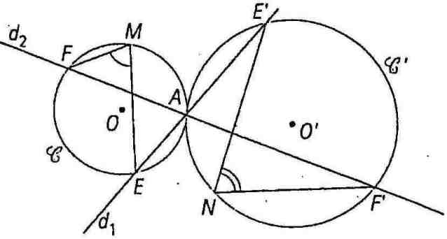 Exos angles et cercle