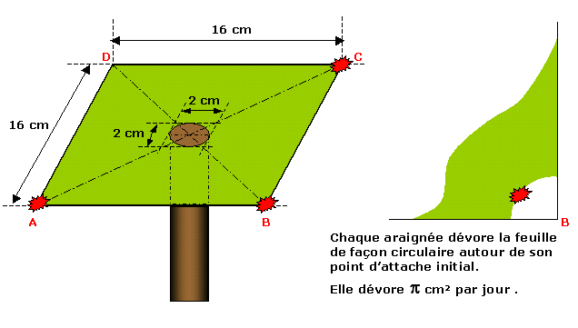 JFF : Les trois araignes 