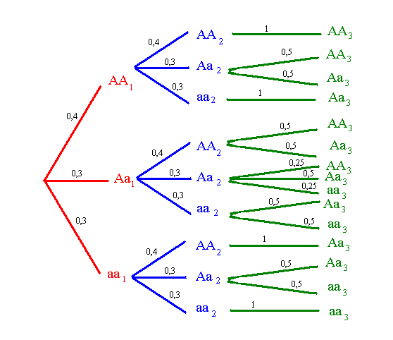 Probabilit� et g�n�tique