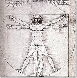 Leonard de Vinci : l homme de Vitruve