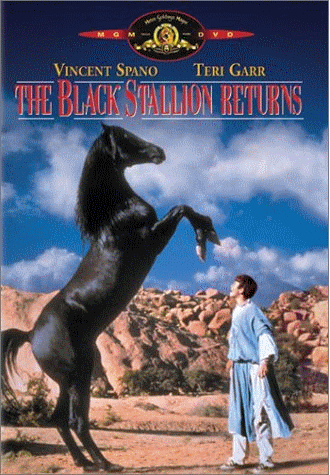 JFF : Le retour de l etalon noir 