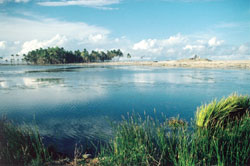 Challenge n�198 : sacs