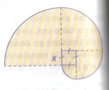 des quarts de disque : exercice de mathématiques de seconde - 86888