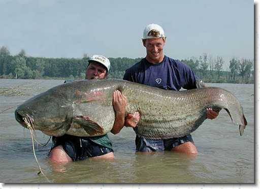 DEFI 83 : Avec des allumettes.