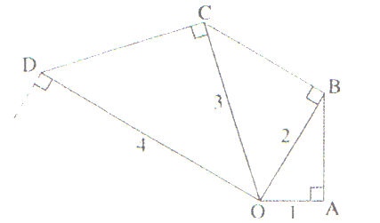 L\'�scargot de Pythagore ^^