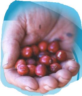 JFF  La mer est rouge