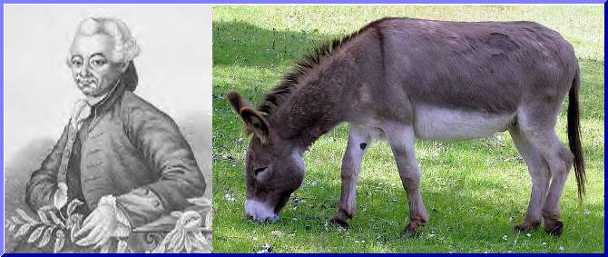 [expresso]_JFF_Charade_73