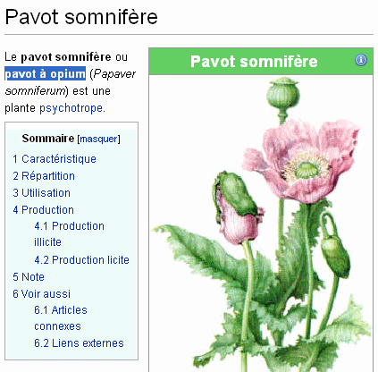 [expresso]_JFF_Chamallow ou marshmallow ?