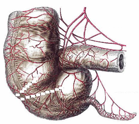 [expresso]_JFF_Charade_88