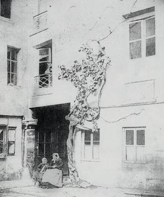 [expresso]_JFF_Charade_89