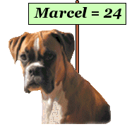 ENIGMA 3: Mais o est donc Marcel?