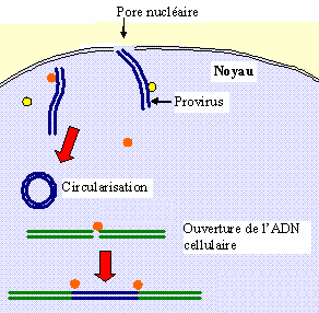 [expresso]_JFF_Charade_101