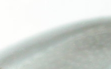 Petite charade illustr�e (3) [Multi-jeux!]