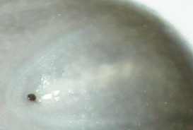 Petite charade illustr�e (3) [Multi-jeux!]