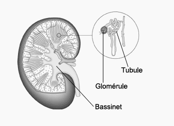 [d�tente]_JFF_Charade_132