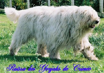 [d�tente]_JFF_Charade_134