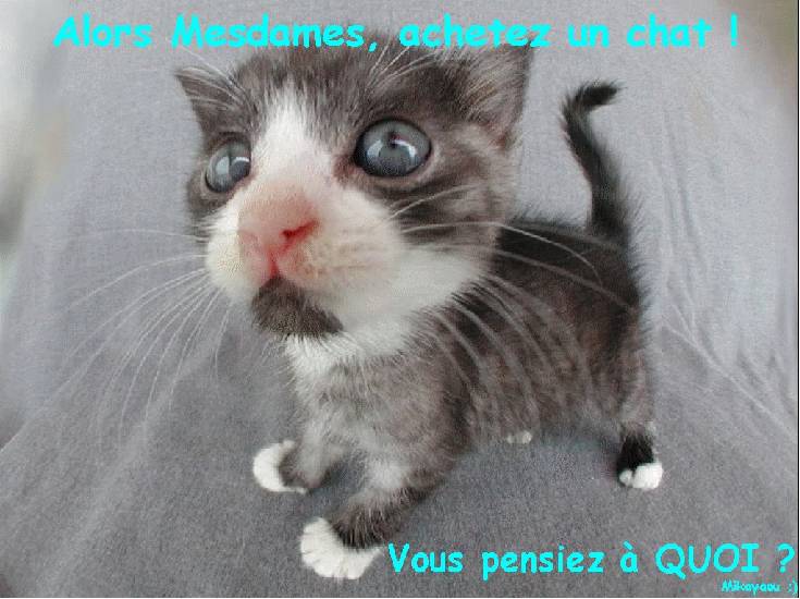 [d�tente]_JFF_Charade_134