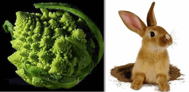 [d�tente]_JFF_Charade_135