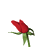 [d�tente]_JFF_Charade_153