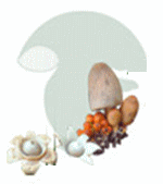 [d�tente]_JFF_Charade_173
