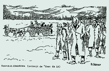 ENIGMA 12: La liberté affreuse !