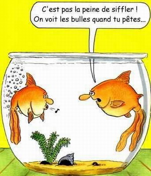JFF_A vos �puisettes