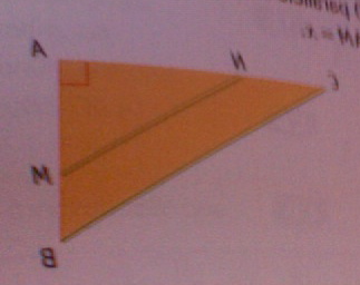 exercice sur les fonction et thales