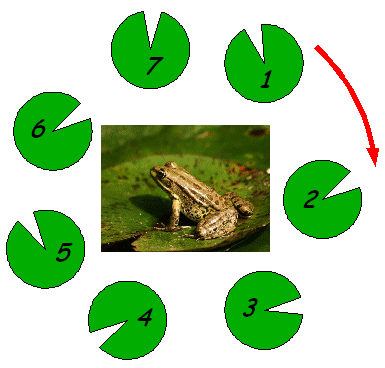 Enigmo 74 : Froggy fait des maths