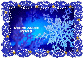 Bonne ann�e 2009