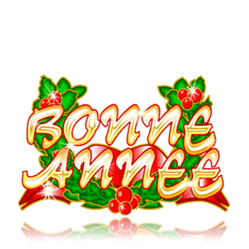 Bonne ann�e 2009