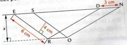 Parallélogramme rose et rond avec équation