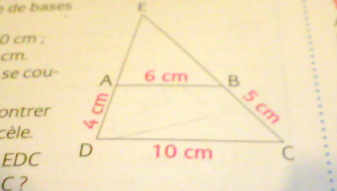 DM sur la relation entre la g�om�trie et le num�rique