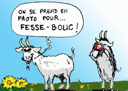 Enigmo 138 : Un probl�me de bouc