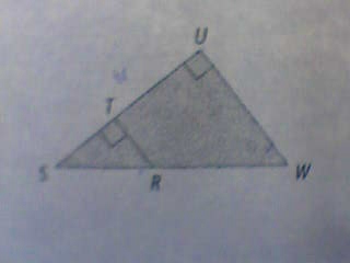 triangle rectangle, proportionalit