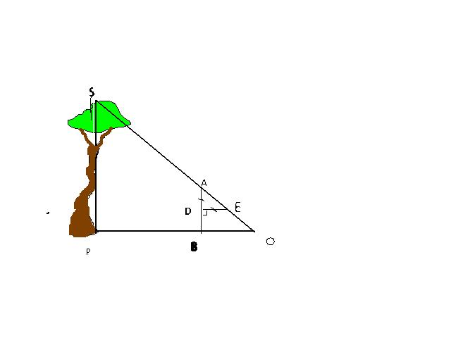 Dmontrer qu\'un triangle est rectangle et isocle 